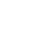 Linkedin icon